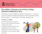 Изображение к статье Как собрать лукошко и не попасть в беду: правила поведения в лесу