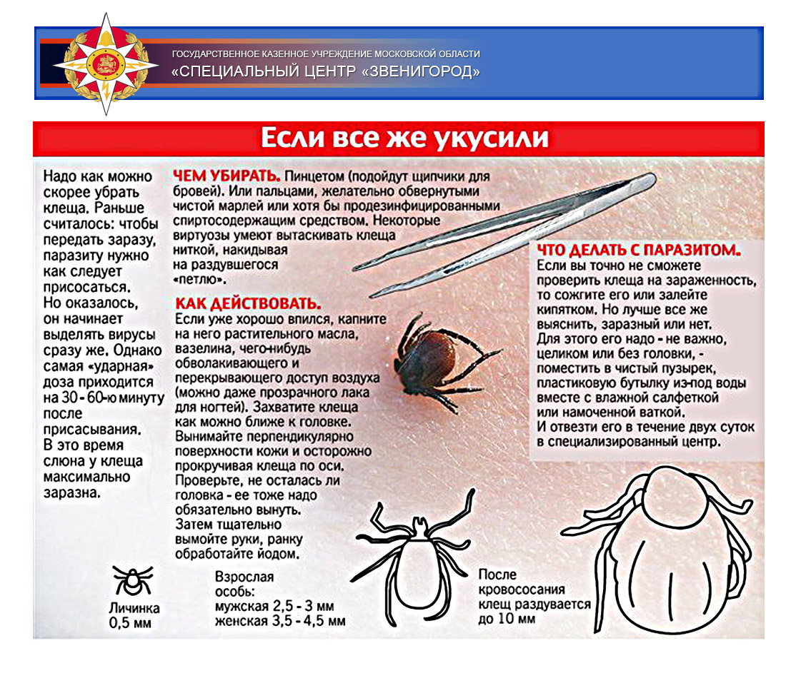 Опасности бытового характера