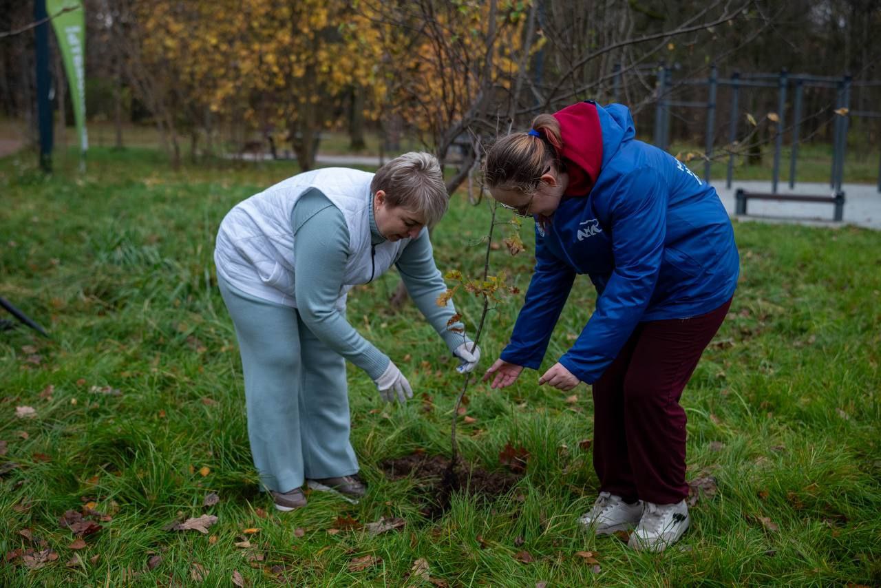 В преддверии Дня отца в лесопарке Фрязино состоялась акция &laquo;Отцовский парк&raquo;