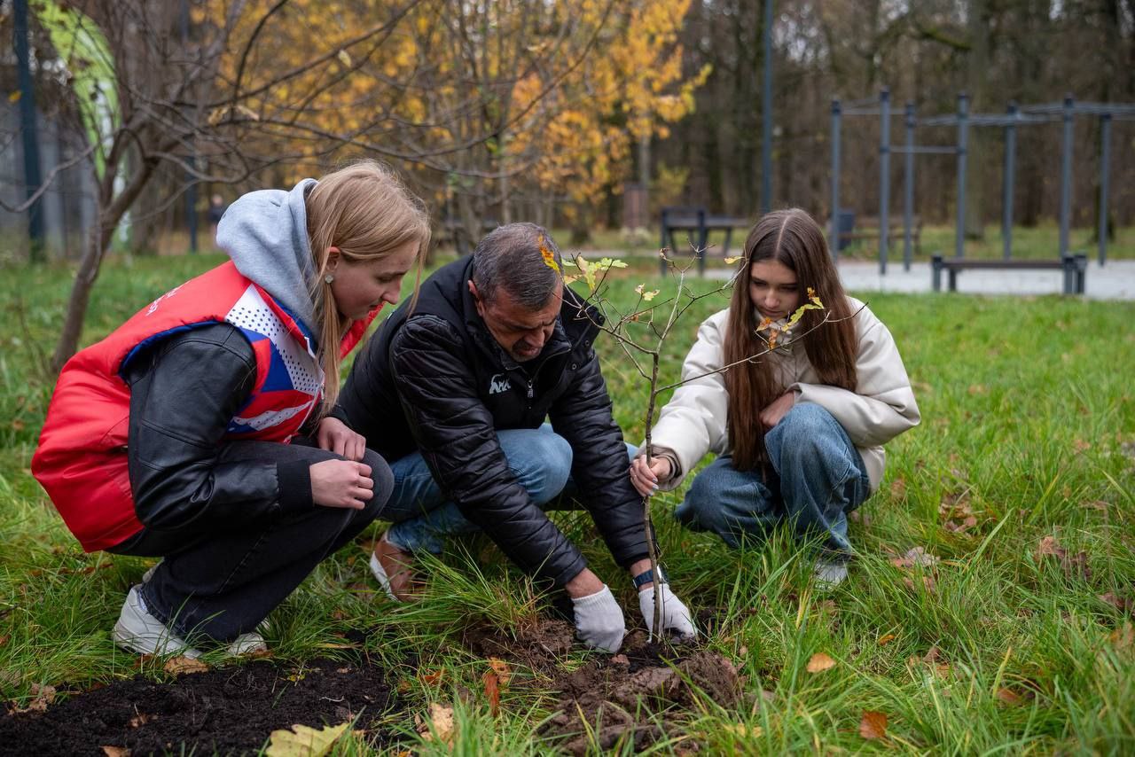 В преддверии Дня отца в лесопарке Фрязино состоялась акция «Отцовский парк»