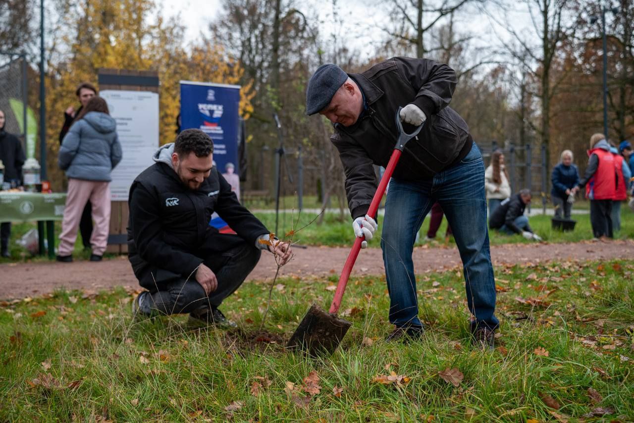 В преддверии Дня отца в лесопарке Фрязино состоялась акция &laquo;Отцовский парк&raquo;