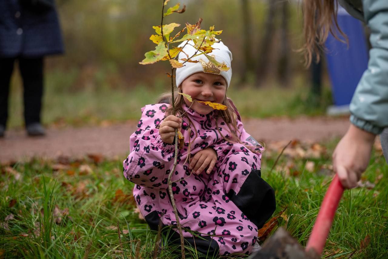 В преддверии Дня отца в лесопарке Фрязино состоялась акция &laquo;Отцовский парк&raquo;