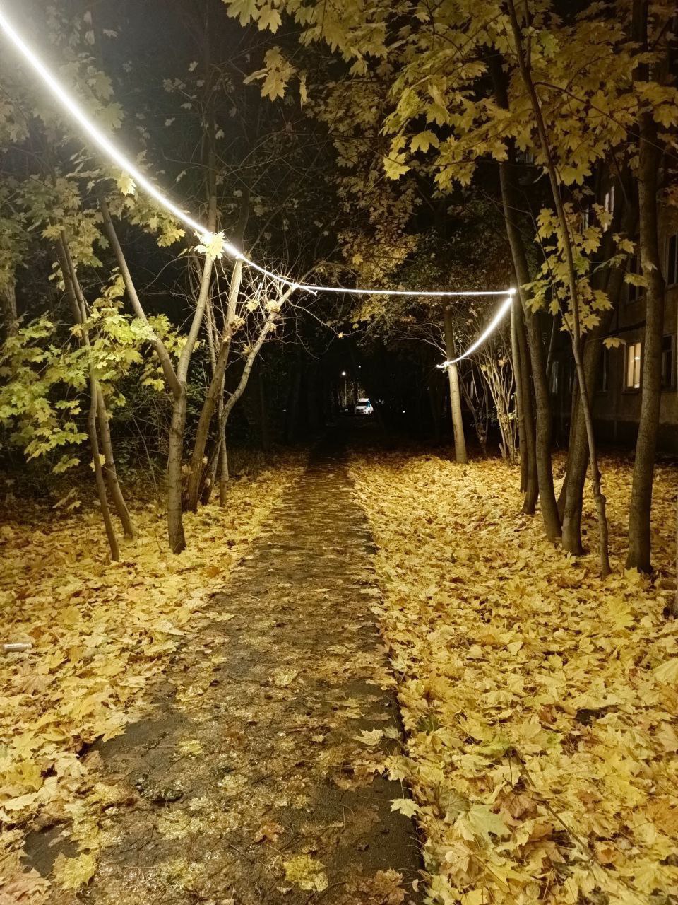 Депутаты Совета депутатов городского округа Фрязино фракции &laquo;Единая Россия&raquo; Владимир Мосевнин и Дарья Смирнова совместно с руководством МБУ &laquo;Городское хозяйство&raquo; в рамках обхода территории проверили работу освещения и ремонт тротуара за домом №7А по улице Советская