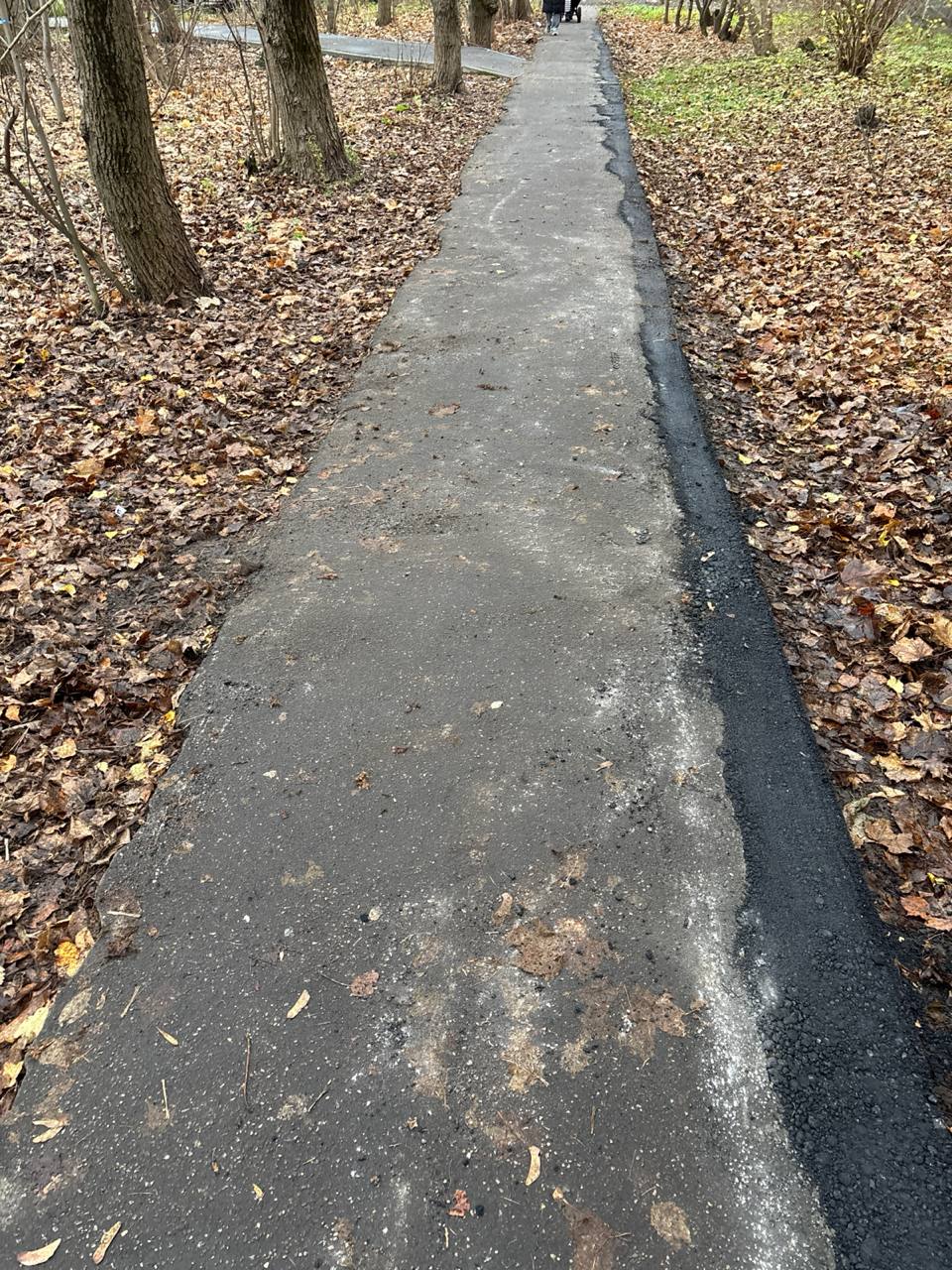 Депутаты Совета депутатов городского округа Фрязино фракции «Единая Россия» Владимир Мосевнин и Дарья Смирнова совместно с руководством МБУ «Городское хозяйство» в рамках обхода территории проверили работу освещения и ремонт тротуара за домом №7А по улице Советская