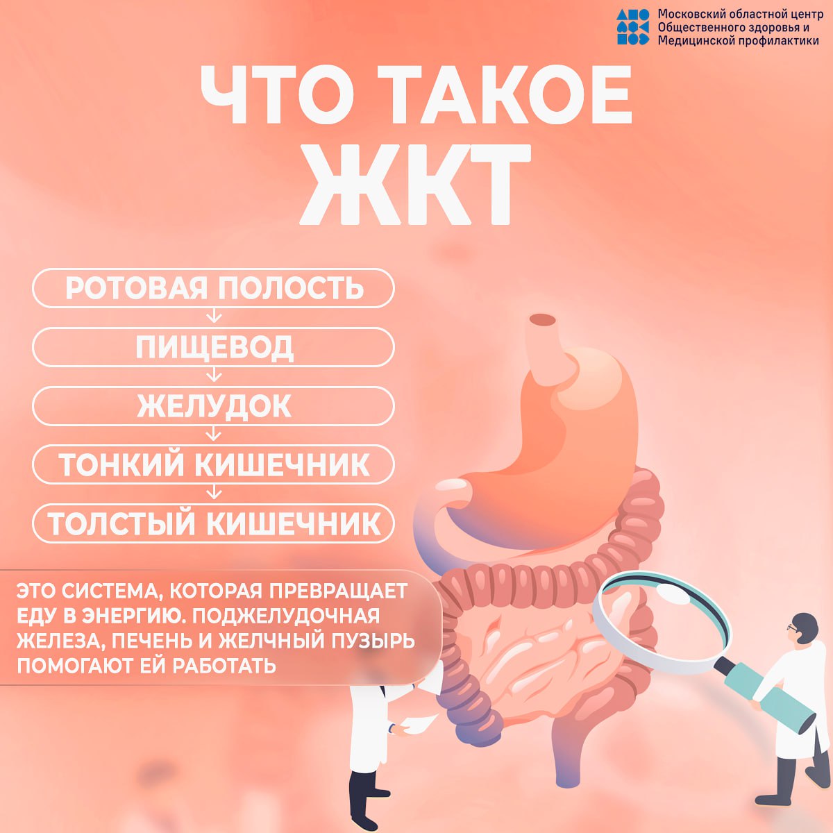 24 &ndash; 30 НОЯБРЯ &ndash; НЕДЕЛЯ ПРОФИЛАКТИКИ ЗАБОЛЕВАНИЙ ЖКТ