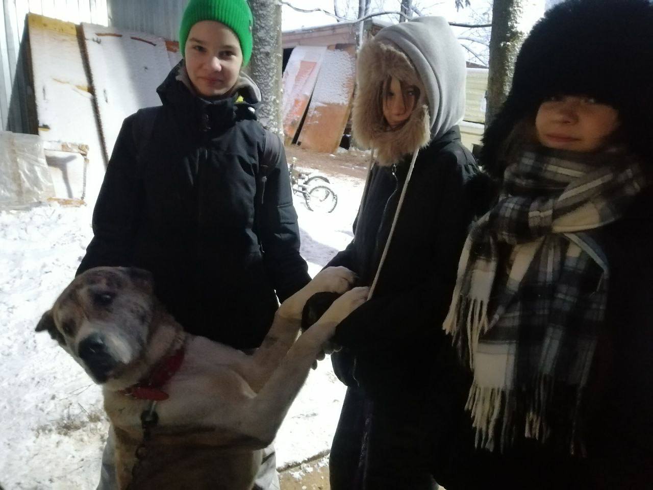 Благотворительная новогодняя инициатива: Актив &laquo;Движения Первых&raquo; города Фрязино дарят тепло тем, кто в нём наиболее нуждается