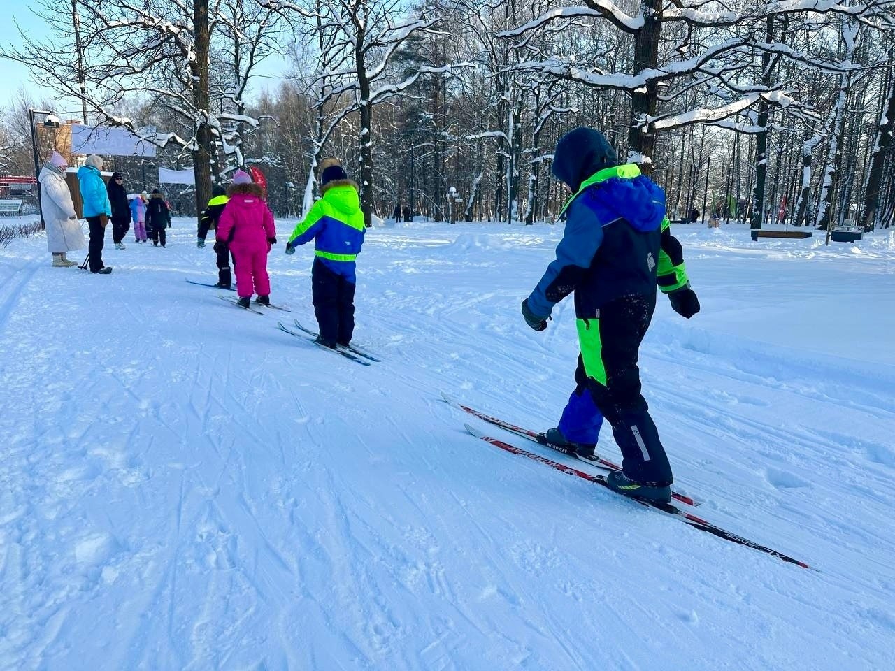 В зимний период лесопарковая зона используется в качестве спортивной площадки, где учащиеся общеобразовательных учреждений осваивают лыжный спорт