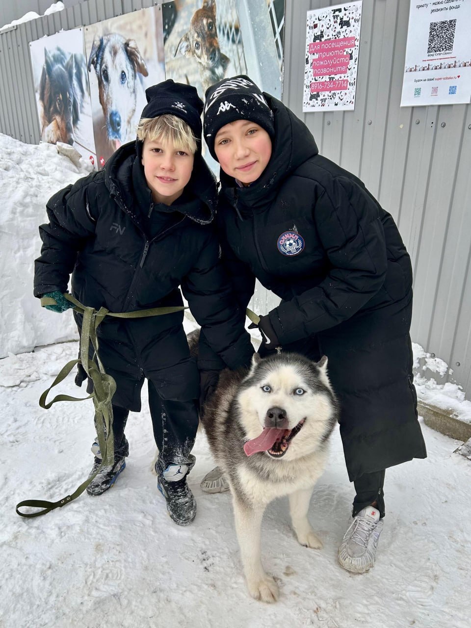 Фрязинские спортсмены навестили подопечных приюта для собак
