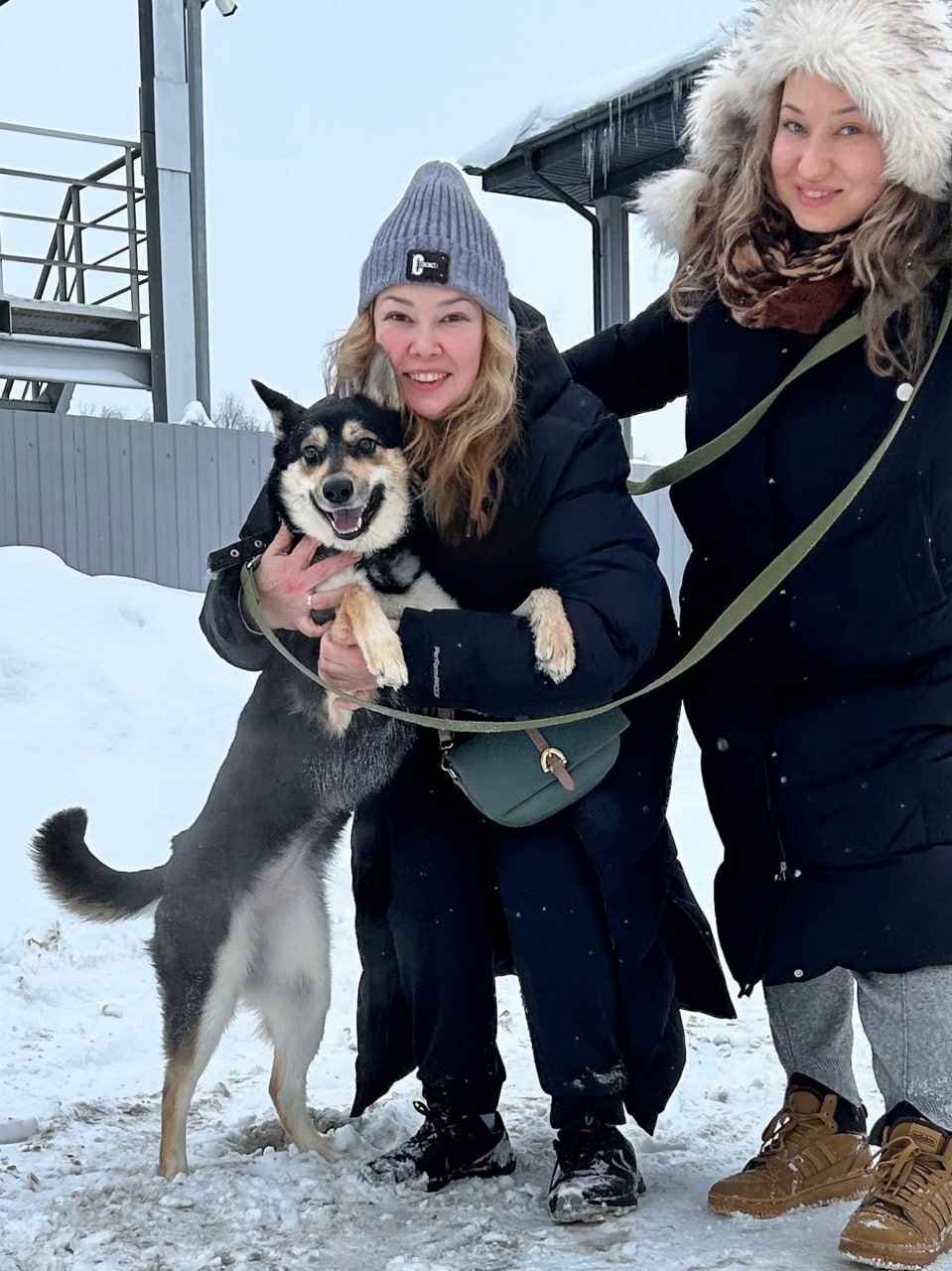 Фрязинские спортсмены навестили подопечных приюта для собак