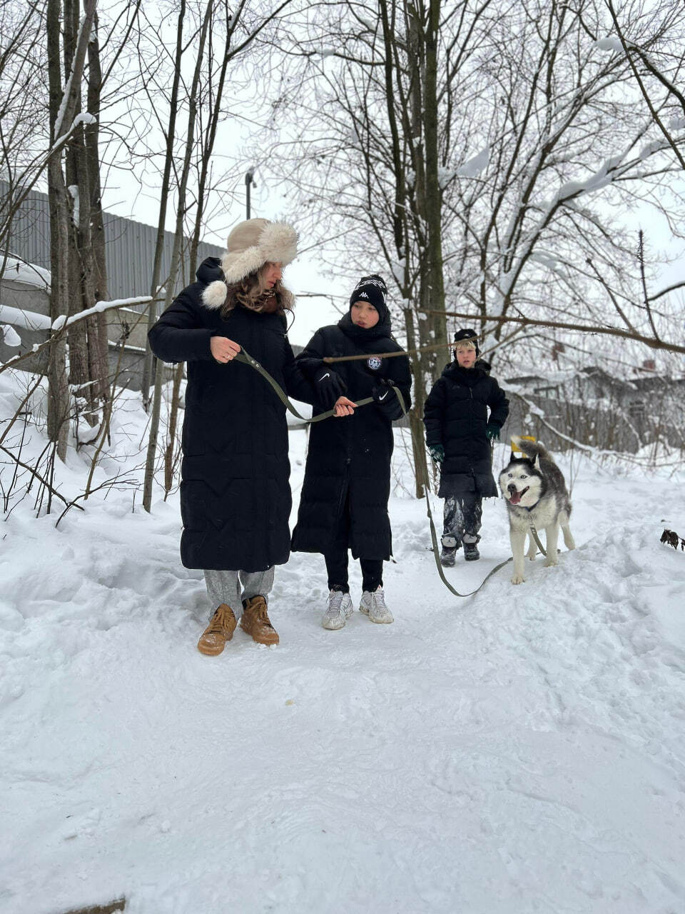 Фрязинские спортсмены навестили подопечных приюта для собак