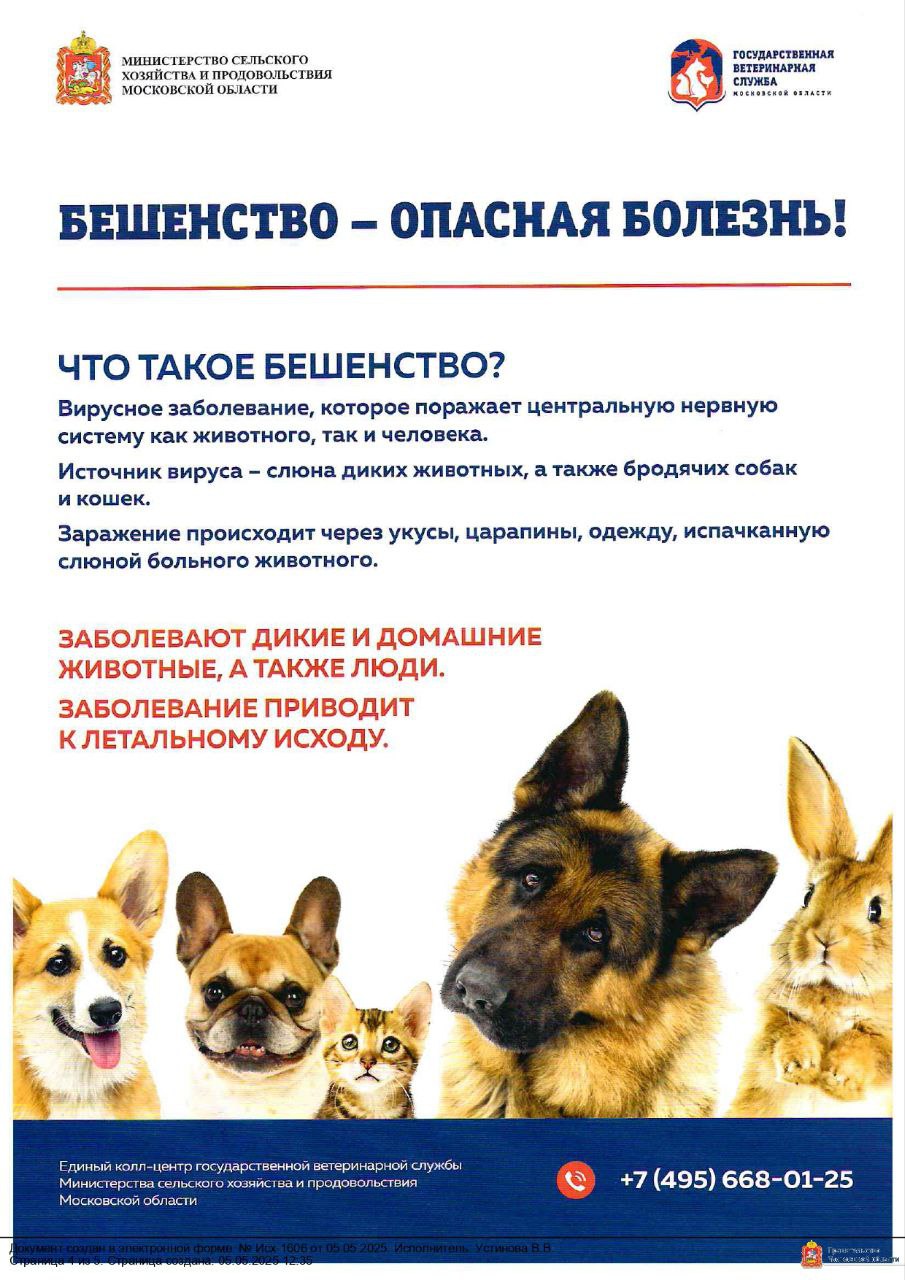 Бешенство и меры профилактики