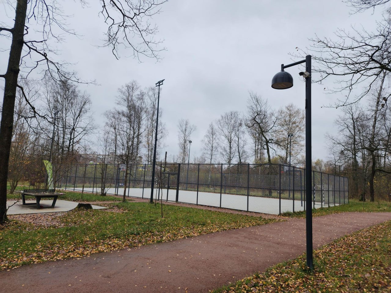 Во Фрязинском лесопарке установили умные камеры