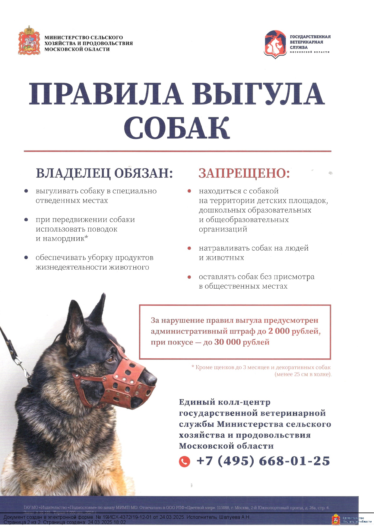 Правила выгула собак