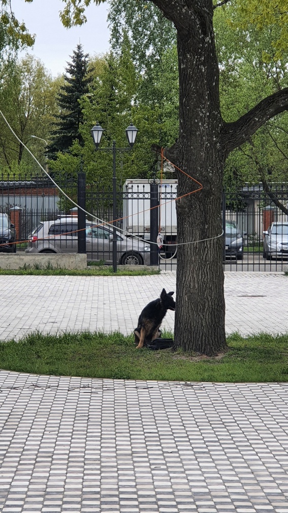 Плановая тренировка 24.05.2022 года на религиозном объекте