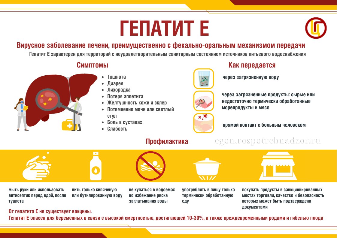 Профилактика гепатита А и Е