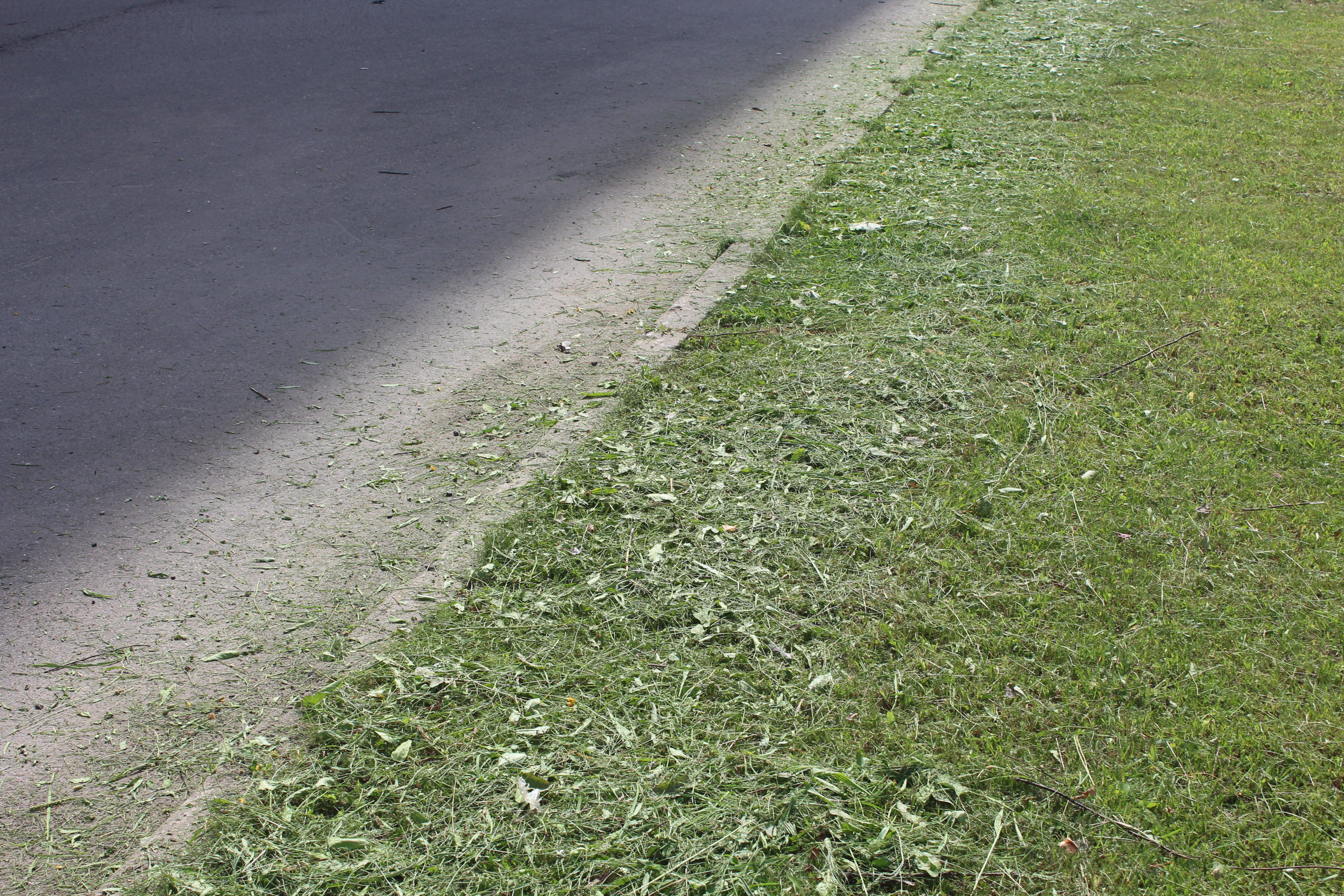 Заместитель главы городского округа Фрязино Юлия Шувалова вместе с депутатом Совета депутатов Алексеем Коночевым провели выездную проверку содержания территории на Окружном проезде возле домов 4, 6 и 10