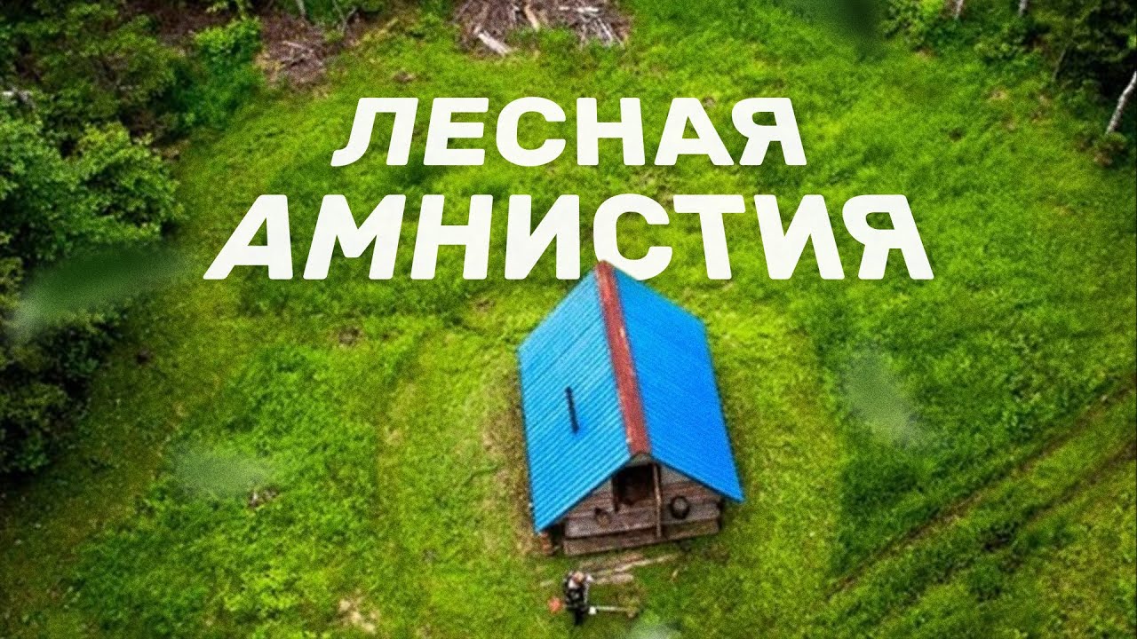 «Лесная амнистия»