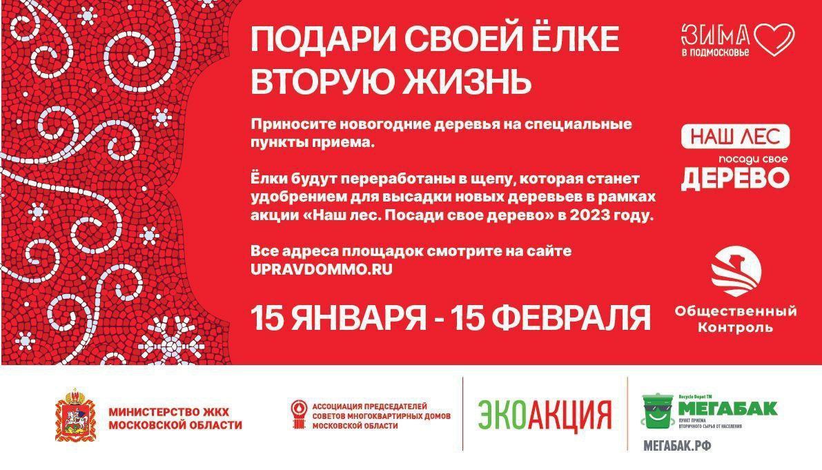 С 15 января по 15 февраля 2023 года в Подмосковье пройдет масштабная акция «Подари своей елке вторую жизнь»