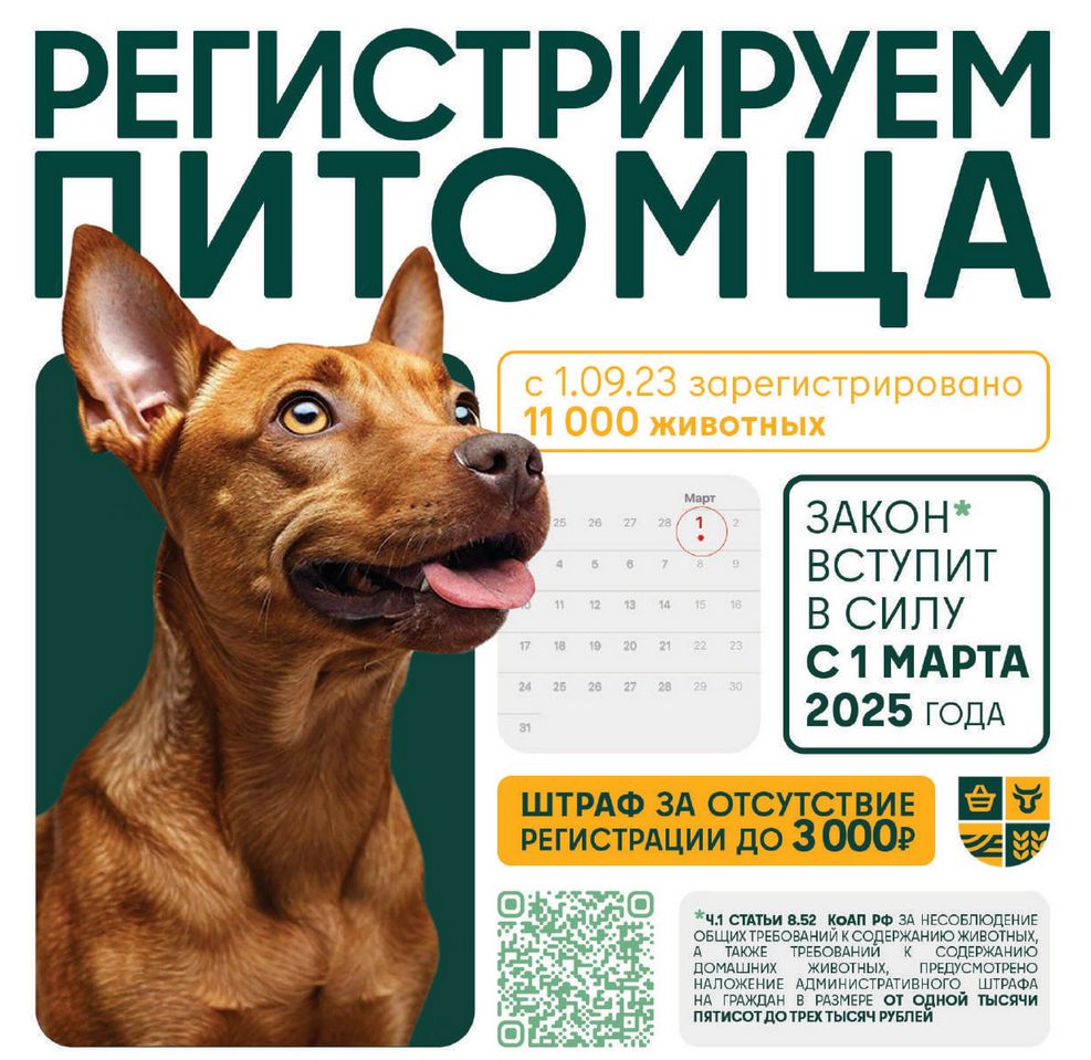 С 1 марта 2025 в Московской области вступает в силу закон об обязательной регистрации животных