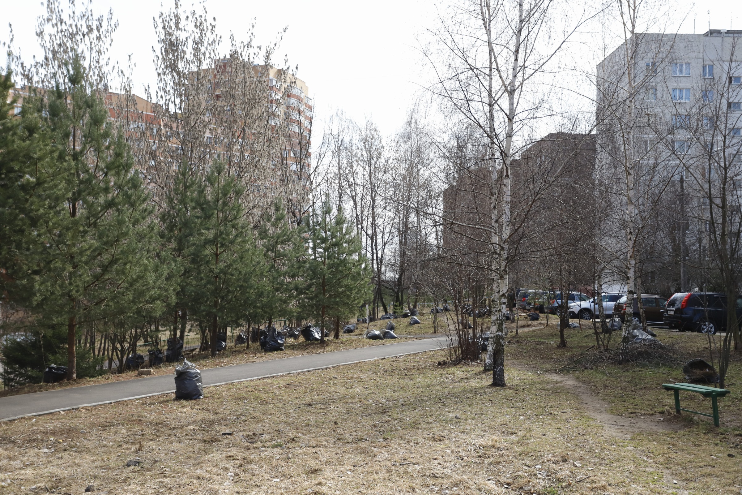 Начальник управления благоустройства, дорожного хозяйства и транспорта администрации городского округа Фрязино Павел Никишкин провел обход дворовых территорий домов номер 23, 25 и 25А, расположенных по улице Полевой.