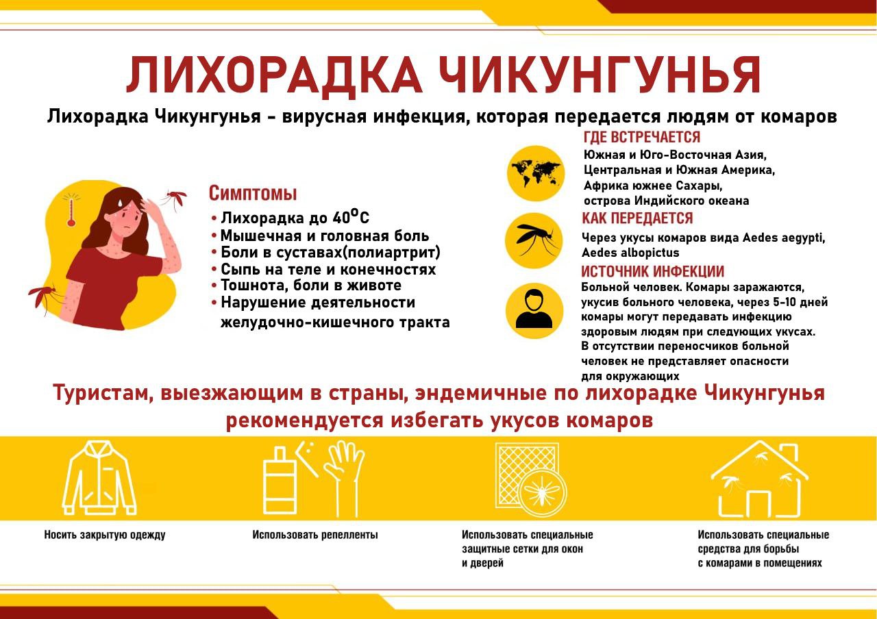 Щелковский территориальный отдел Управления Роспотребнадзора по Московской области обращает внимание на осложнение эпидемиологической ситуации в мире, связанной с болезнью, вызванной вирусом Чикунгунья