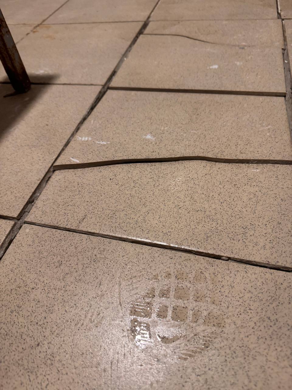 Заместитель главы г.о. Фрязини Наталия Князева в рамках обхода территории посетила спортивный комплекс &laquo;Олимп&raquo;.