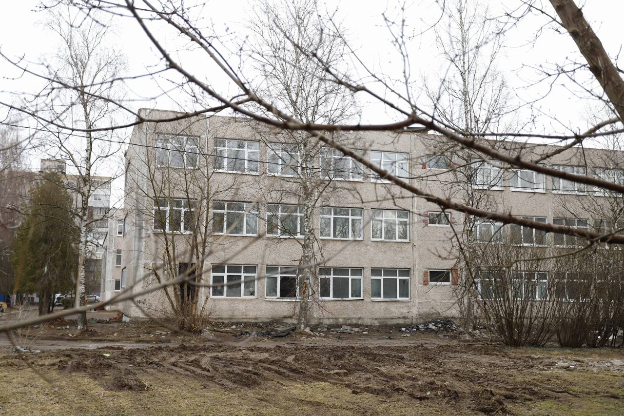 Наталия Князева объяснила жителям необходимость вырубки деревьев при ремонте гимназии во Фрязино