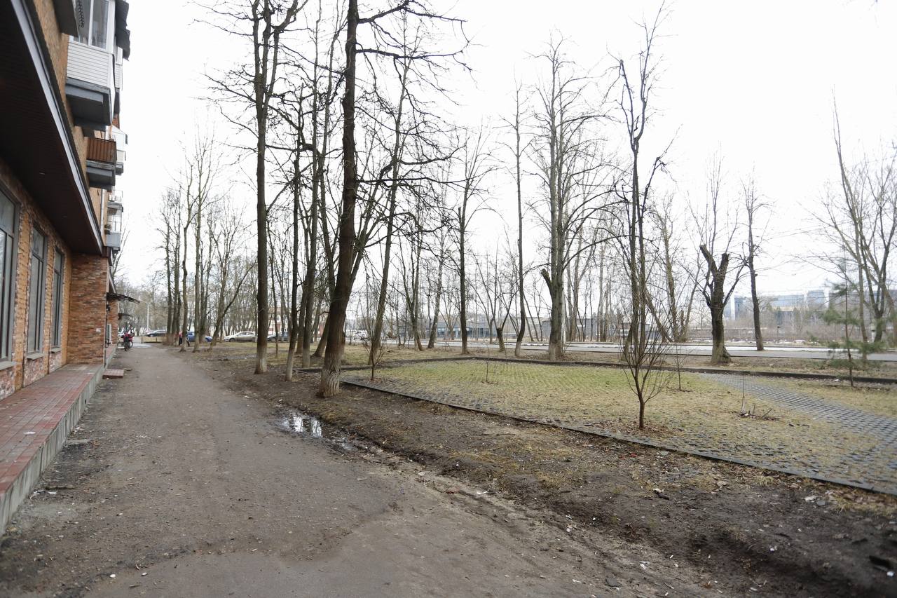 Во Фрязино отреагировали на жалобы жителей на магазин "Бристоль"