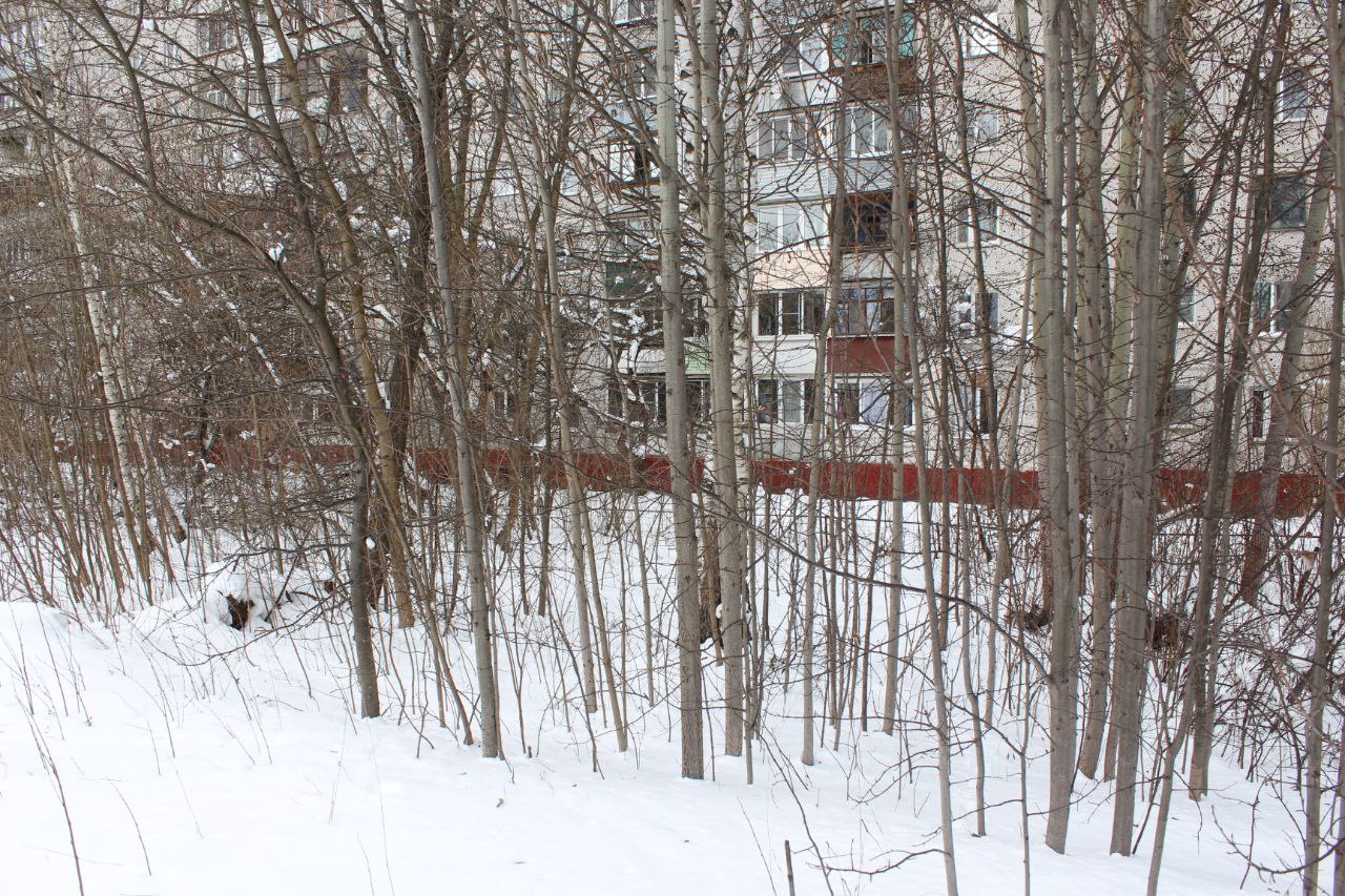 Заместитель главы городского округа Фрязино Антон Михайлович Тропин провел встречу с жителями дома №16 по улице Полевой в рамках традиционного обхода территорий