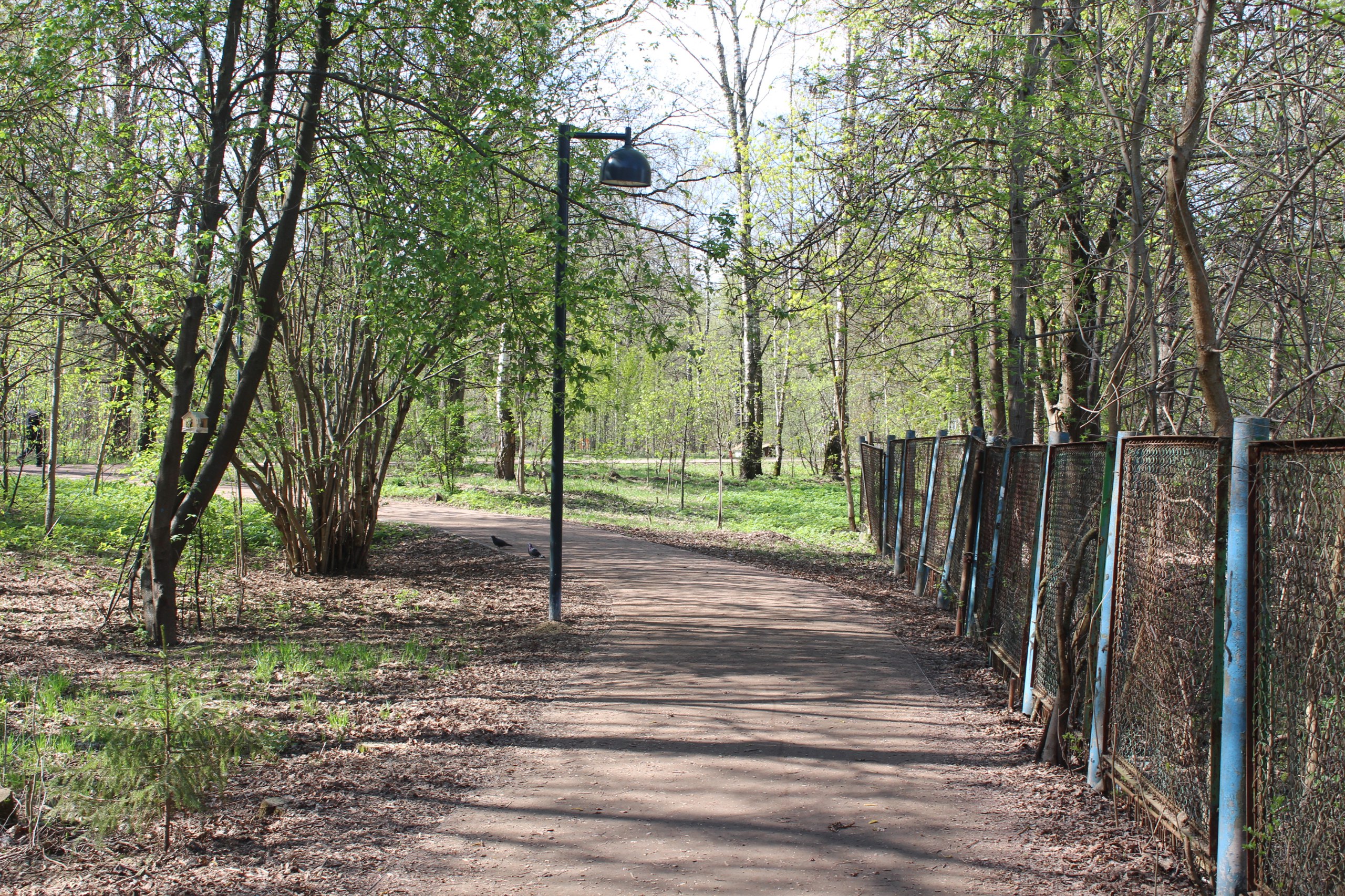 Заместитель главы городского округа Фрязино Антон Тропин совместно с представителями МБУ "Городское хозяйство" встретился сегодня с жителями закрепленной территории у дома №16 по улице Полевая