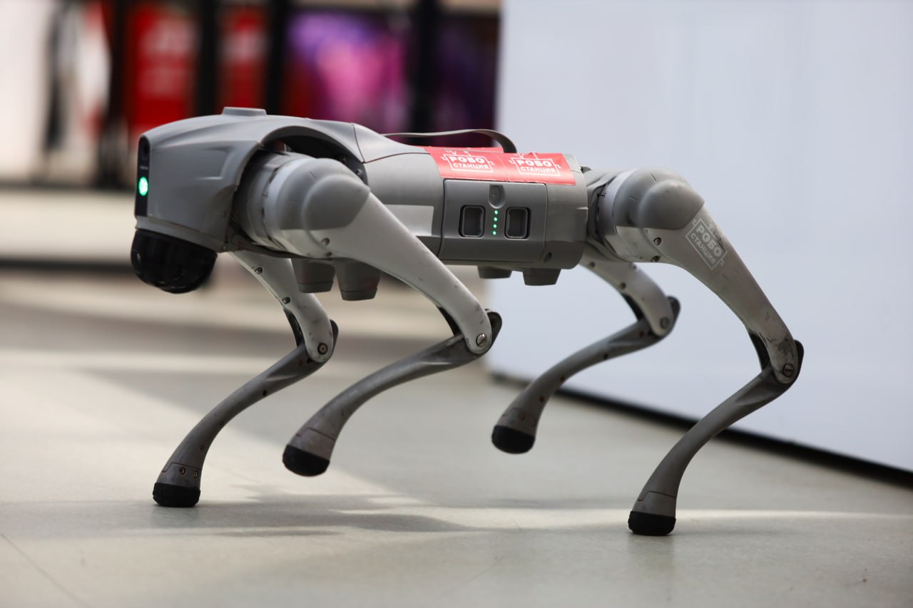 Подмосковные школьники представляют свои изобретения на выставке &laquo;Робостанция&raquo; на ВДНХ