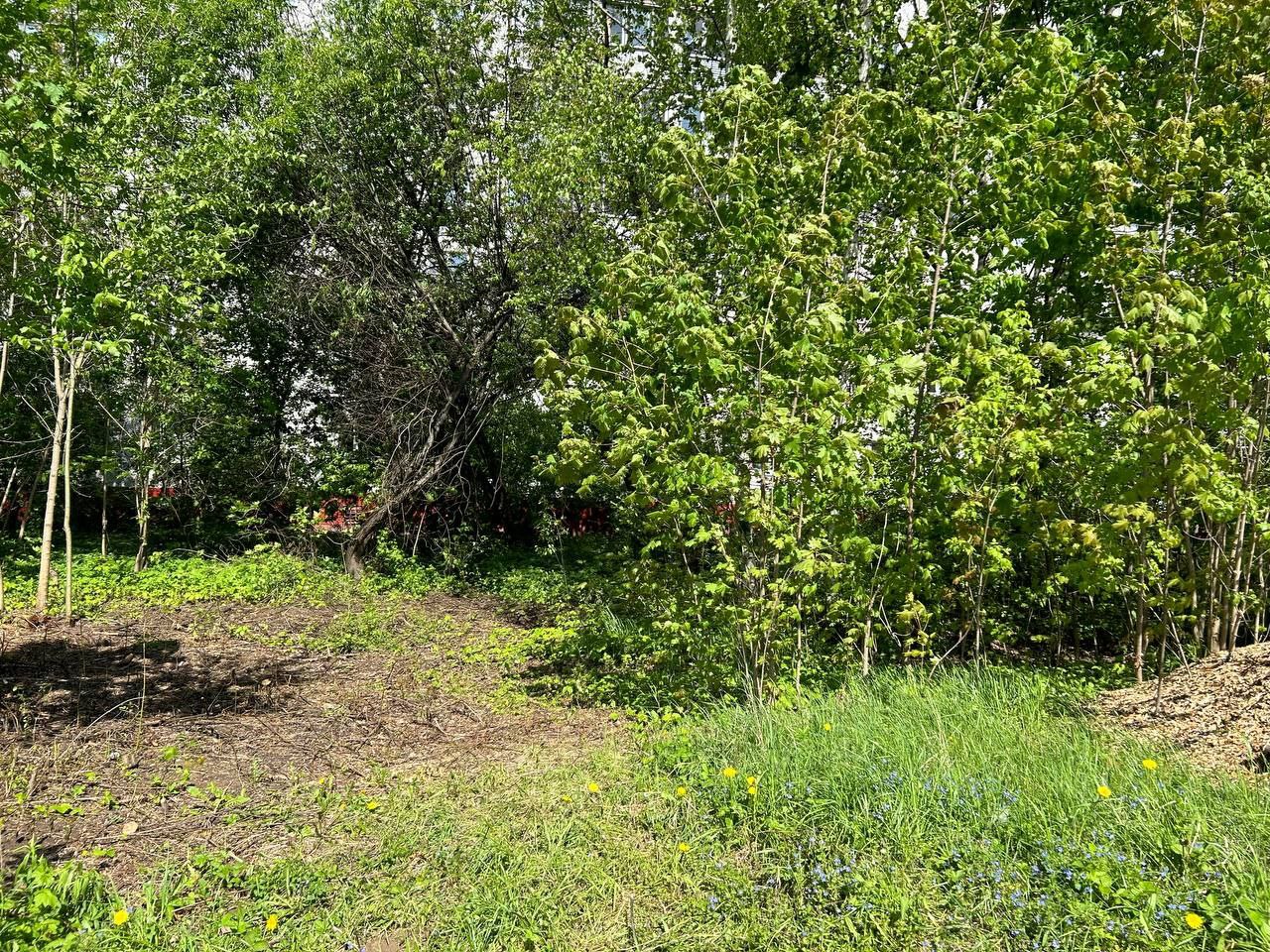 Заместитель главы городского округа Фрязино Антон Тропин в рамках обхода территории провел встречу с жителями домов №14 и №16 по улице Полевой