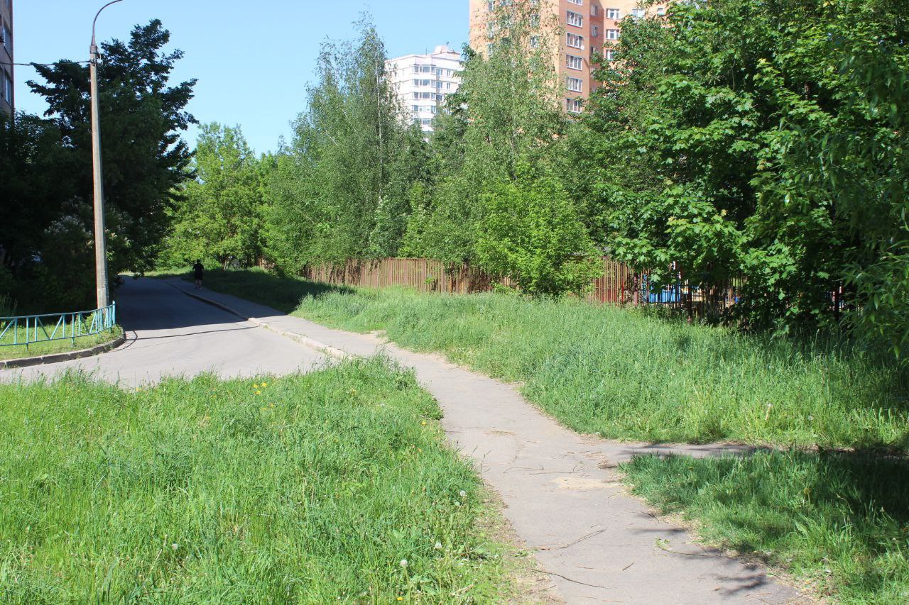 Заместитель главы городского округа Фрязино Юлия Шувалова провела обход территории по адресу Проспект Мира, 17, в связи с поступающими в Центр управления регионом (ЦУР) обращениями жителей с жалобами на нескошенную траву