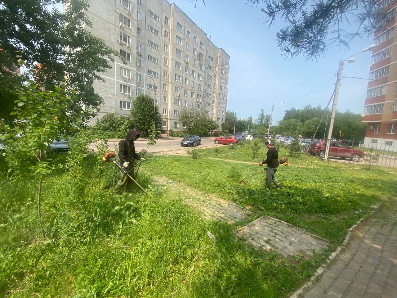 Начальник управления благоустройства, дорог и транспорта городского округа Фрязино Павел Никишкин в рамках срочной выездной администрации оценил качество покоса травы в 4-м микрорайоне