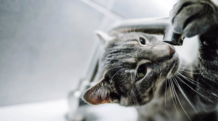 Уважаемые жители городского округа Фрязино!