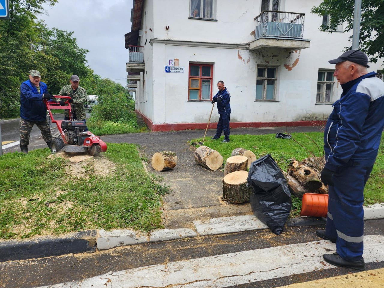 На улице Институтской во Фрязине спилили аварийное дерево