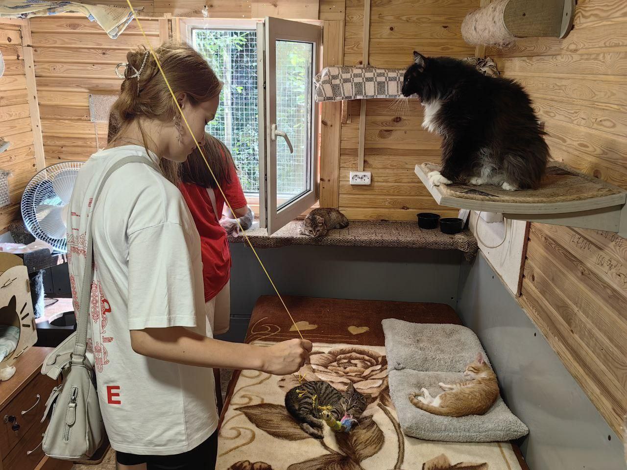 "Первые Фрязино" посетили приют для собак и кошек, что бы оказать помощь тем, кто в ней больше всего нуждается