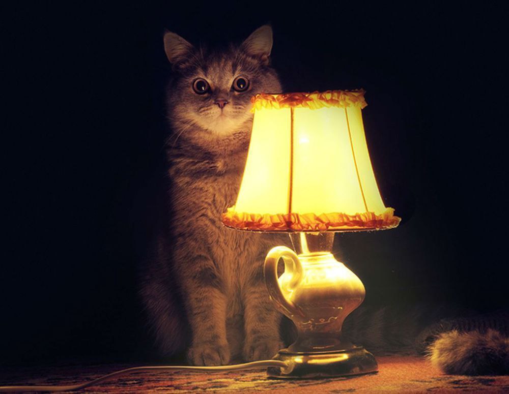 Уважаемые жители Фрязино!