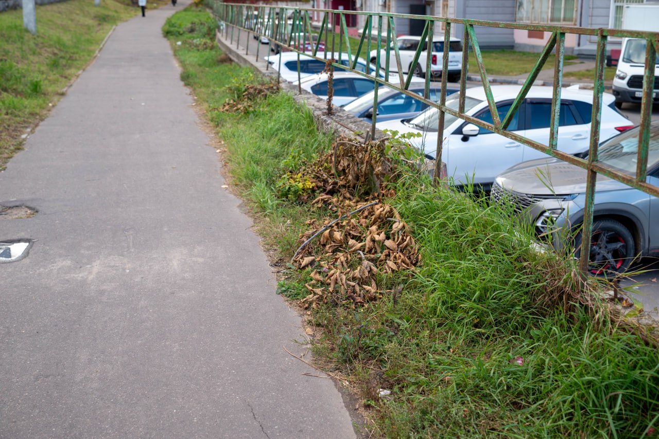 Начальник управления благоустройства, дорожного хозяйства и транспорта Павел Никишкин совместно с депутатом Совета депутатов Владимиром Жигулиным в рамках обхода территории проверили содержания пешеходных маршрутов, прилегающих к дороге вблизи дома №29 по проспекту Мира