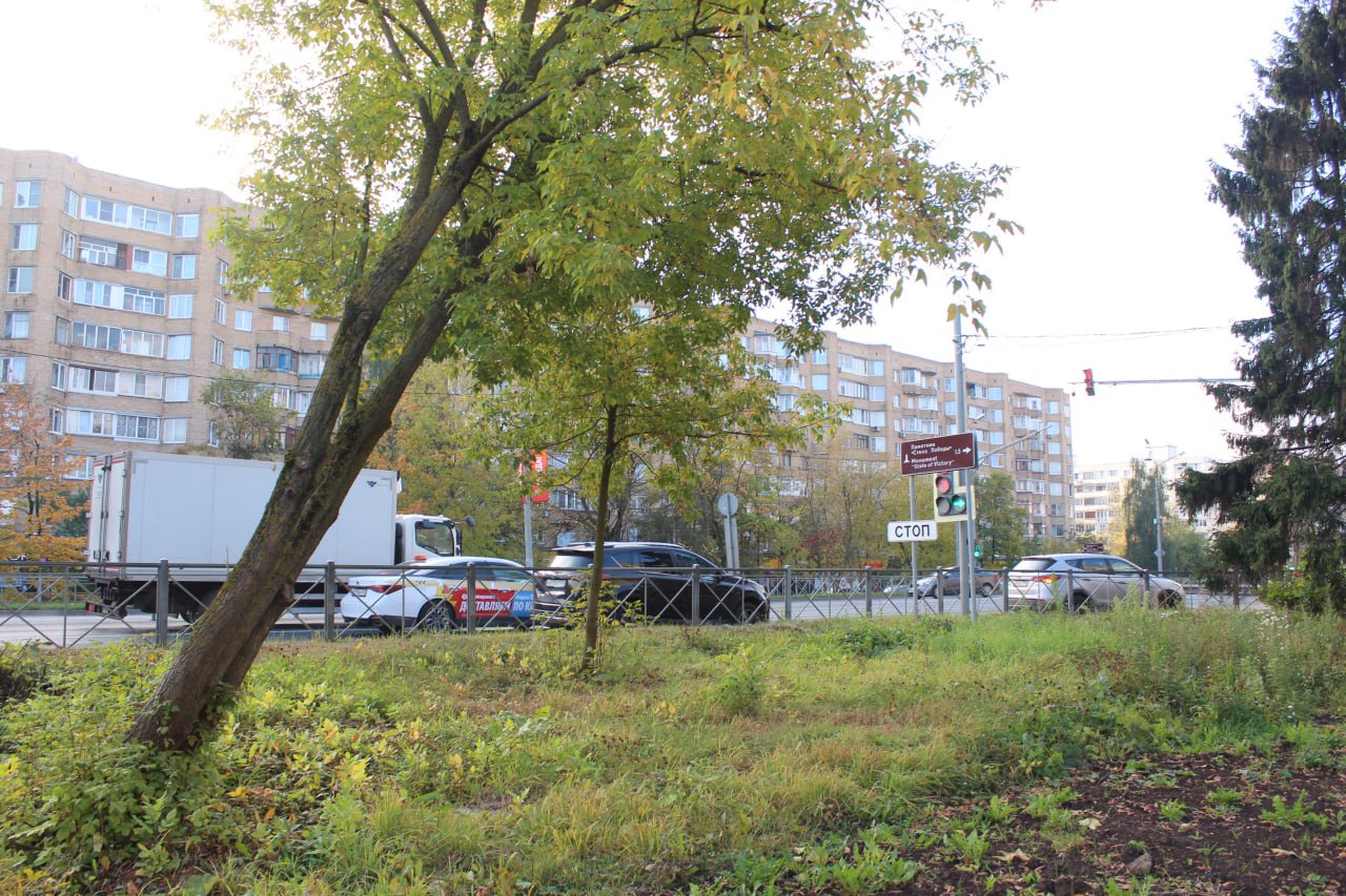 В рамках обхода территорий заместитель главы городского округа Фрязино Юлия Шувалова посетила улицу в районе дома №11 по проспекту Мира, где ранее в муниципальный центр управления регионом поступали обращения жителей о сухих деревьях вдоль проезжей части