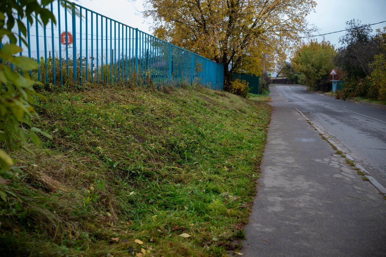 Павел Никишкин проверил состояние газонов у дома №19к1 по проспекту Мира