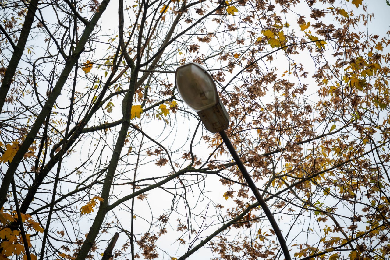 В рамках обхода территории начальник управления благоустройства, дорожного хозяйства и транспорта городского округа Фрязино Павел Никишкин посетил территорию дома №13 по улице Полевой