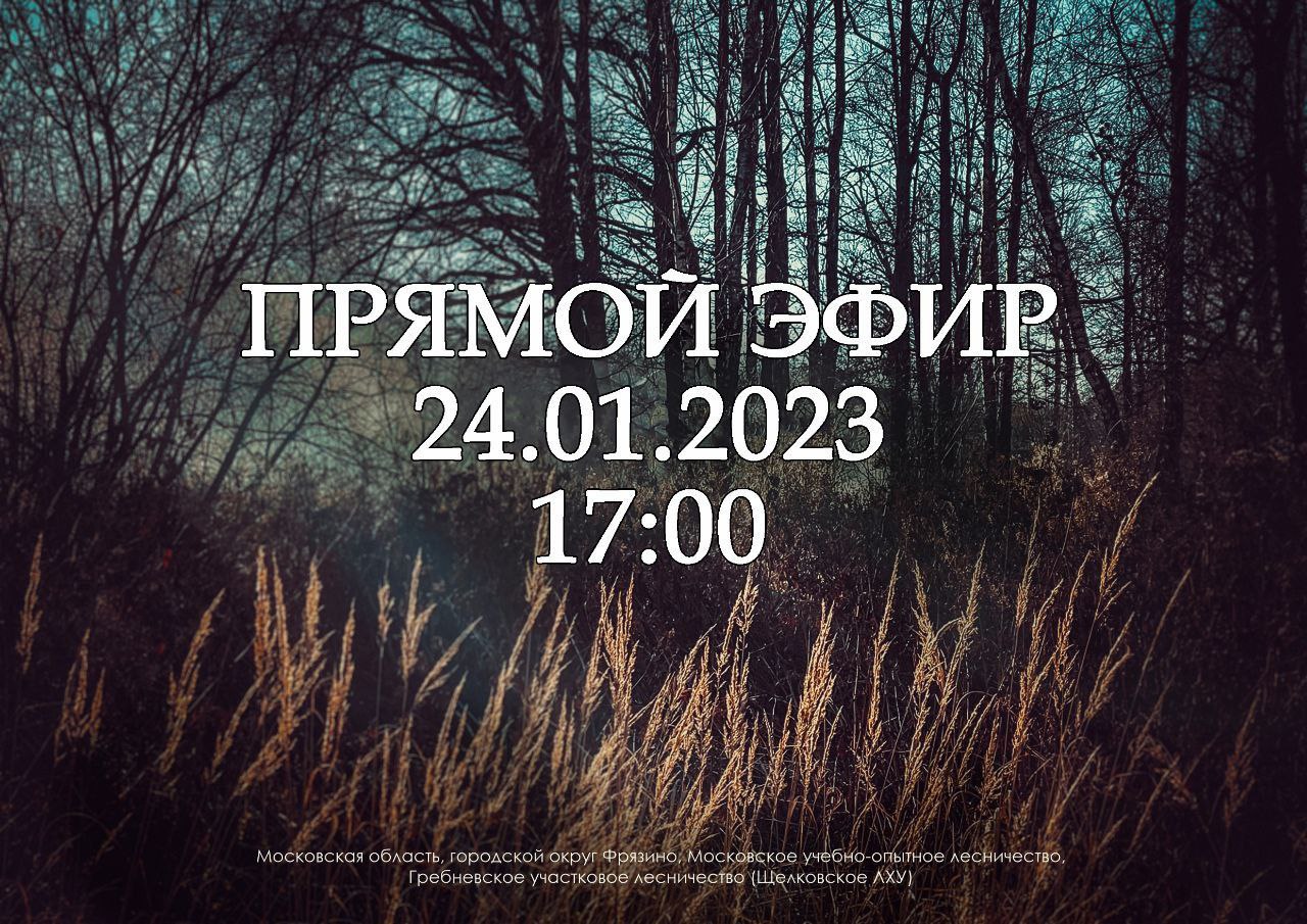 24 января, в 17:00, Глава городского округа Фрязино Дмитрий Воробьев проведет прямой эфир на своей странице ВКонтакте, чтобы ответить на все волнующие горожан вопросы и развеять слухи.