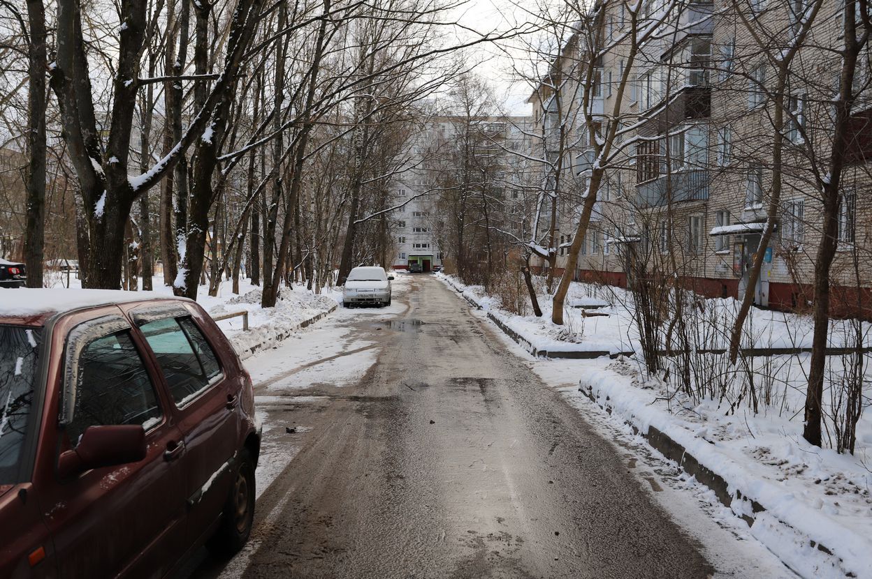 Заместитель главы городского округа Фрязино Антон Тропин встретился с жителями дома №10 по улице Полевой
