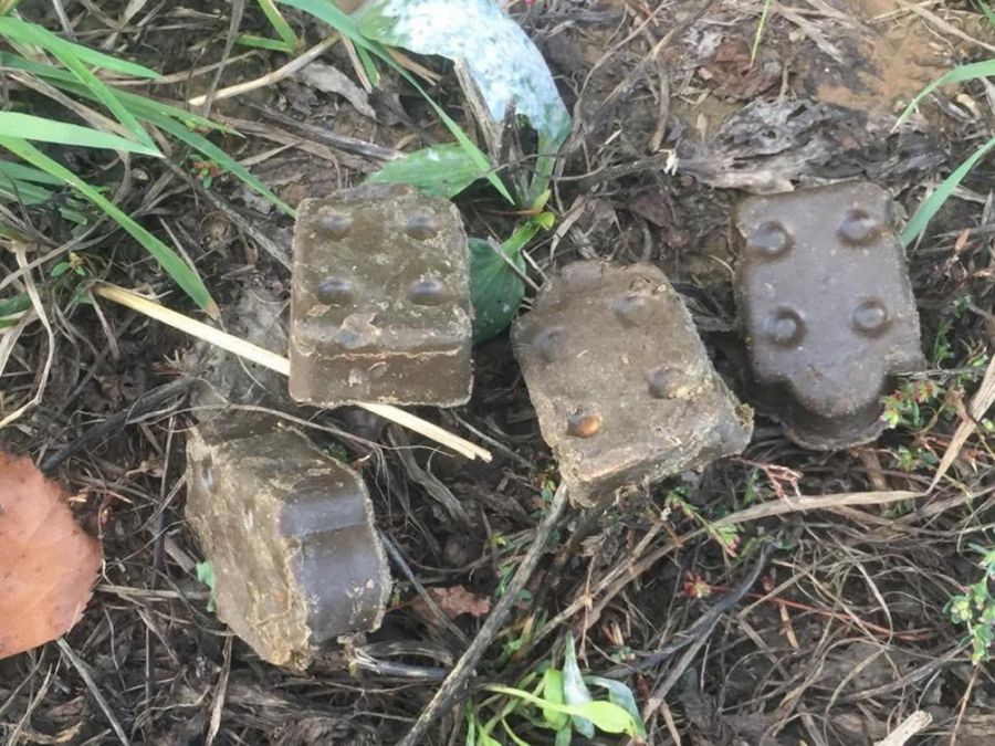 Станция по борьбе с болезнями животных информирует!