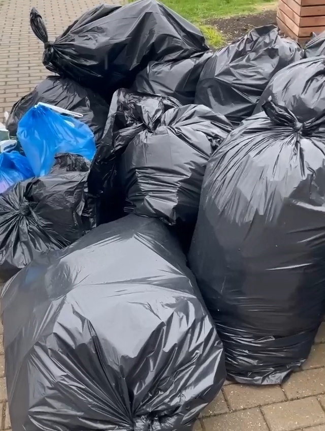 Жителей Фрязино приглашают на экоакцию &laquo;Дети в деле&raquo;